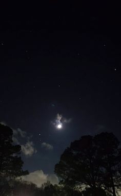 the night sky is lit up with stars and moon in the distance, as well as some trees