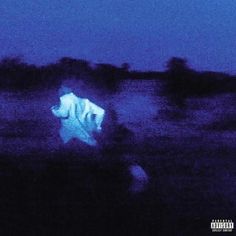 a blurry image of a polar bear in the dark