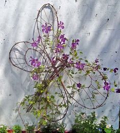 purple flowers are growing out of a wire sculpture