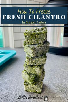 How to freeze fresh cilantro in Souper Cube freezer trays Frozen Herb Cubes, How To Freeze Cilantro, Frozen Garlic Cubes, How To Freeze Dill, What To Do With Cilantro, Souper Cubes Recipes, Preserve Cilantro, Freeze Cilantro, Freeze Herbs