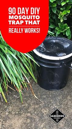 a black trash can sitting on top of a cement ground next to green plants and bushes