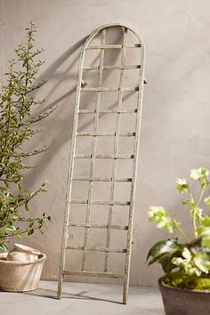 a metal trellis next to a potted plant