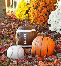 three pumpkins sitting on top of leaves in front of some trees and bushes with flowers