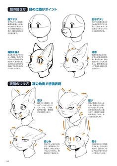 the instructions for how to draw an anime cat