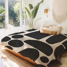 a bed with black and white polka dots on it in front of a large window