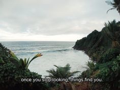 there is a quote that says once you stop looking things find you on the beach