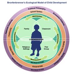 the brochure's ecology model of child development, with different areas labeled in circles