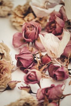 dried flowers are scattered on the ground