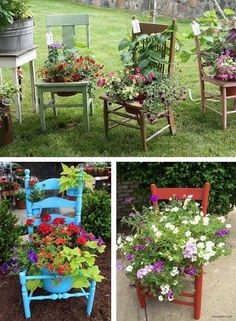 four different pictures of chairs with flowers in them and one is painted red, the other blue