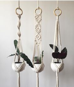 three macrame plant hangers with plants in them