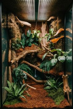 the inside of a glass case with plants and rocks