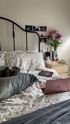 a cat laying on top of a bed next to a laptop computer