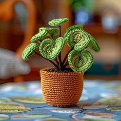 a small potted plant sitting on top of a table