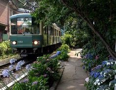 a green train traveling through a lush green forest filled with purple and white wildflowers