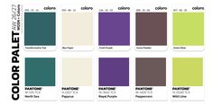 the color palette is shown with different shades and colors to choose from, including purple, green