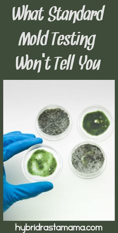 Have or suspect mold? Do you know how to properly test for it and what else you should be looking for? Learn more in this post about what standard mold testing won't tell you from HybridRastaMama.com. #toxicmold #moldtesting  via @hybridrastamama Mold Toxicity