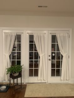 a living room with two doors and a plant on the floor in front of them