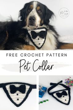 a dog wearing a crochet bow tie with the words free crochet pattern pet collar