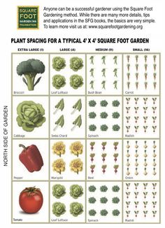 an image of different types of plants and vegetables in the garden with instructions on how to grow them