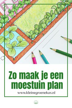 Zo maak je een moestuinplan