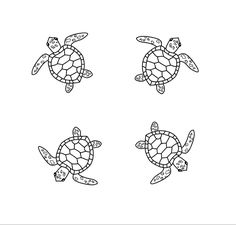 four turtles with numbers on their backs, one in the middle and one in the back