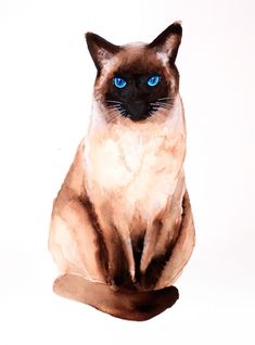 a watercolor painting of a siamese cat with blue eyes sitting in front of a white background