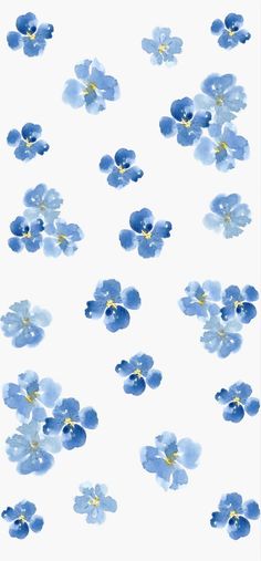 blue flowers on a white background