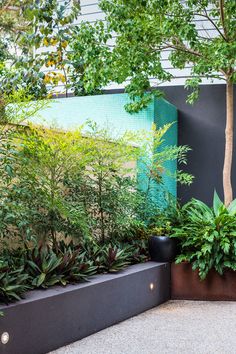 an outdoor garden with trees and plants in the center, along side a wall that has a green screen behind it