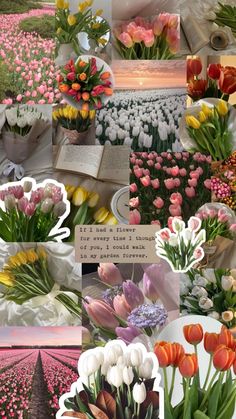 a collage of tulips and other flowers