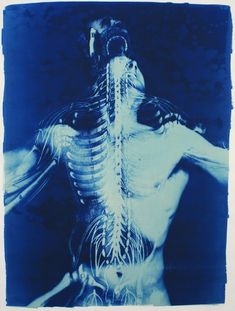 an image of a man's back in blue and white with the skeleton visible