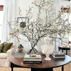 a living room filled with furniture and a tree in the middle of the room on top of a coffee table