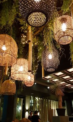 several lights hanging from the ceiling in a restaurant with plants growing on it's sides