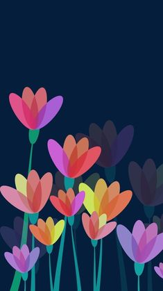 colorful flowers on a dark background with space for text