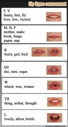 the different types of lips are shown in this graphic diagram, which shows how they look like