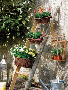 an old ladder is used as a planter and flower pot holder for hanging plants