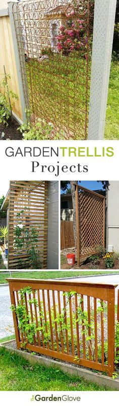 the garden trellis project is an easy way to build your own fence and plant it