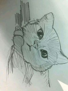 a drawing of a cat with one eye open