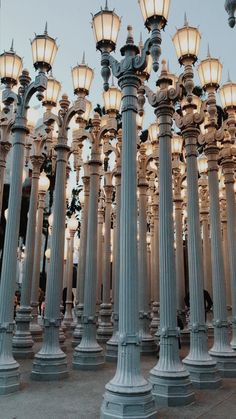 many street lamps are lit up in the evening