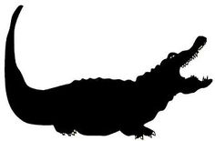 an alligator silhouetted against a white background with the words, iguado on it