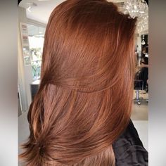 100% Real Remy Human Hair Color: Auburn/Strawberry Blond (Red) Length: 20 Inches Clip-In 150% Density Straight Hair Is Heat Resistant Can Be Styled However You Like Https://Youtu.Be/Tiyi4dmrxow Copper Brown Hair, Ginger Hair Color, Hair Color Auburn, Copper Hair Color, Auburn Hair, Red Hair Color, Hair Inspiration Color, Long Red