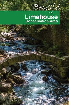 a book cover with a river and bridge in the foreground, surrounded by trees