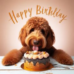 a brown dog sitting next to a cake with icing on it and the words happy birthday written in gold