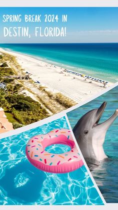 a dolphin swimming in the ocean next to a beach with an inflatable ring