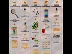 an info sheet describing the different types of cosmetics and their uses in each one's application