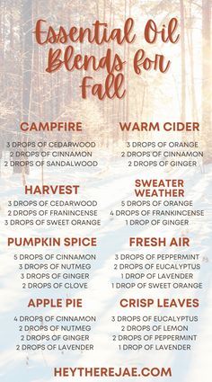 Fall Scents Essential Oils, Best Essential Oil Blends, Fall Essential Oil Blends, Fall Essential Oils, Essential Oils Guide