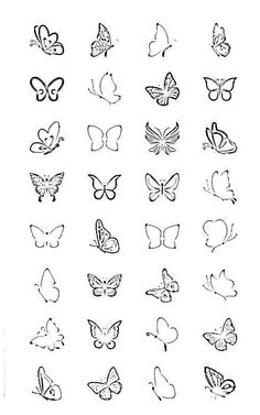 the different butterflies are drawn in black and white, each with their own outlines