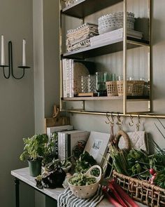 a shelf filled with lots of different types of plants next to a wall mounted candle