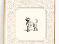 a drawing of a poodle standing in front of a white wall