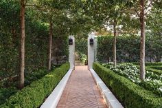 a brick walkway between two rows of hedges