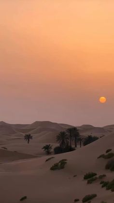 Pretty Landscapes, Sand Dunes, Nature Aesthetic, Pretty Places, Sky Aesthetic, Scenery Wallpaper, Travel Aesthetic, The Desert, Goa